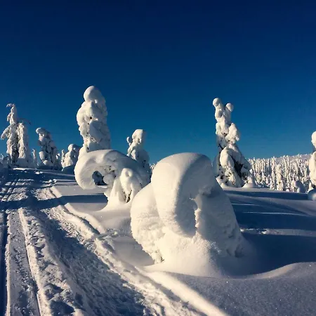 Hotel Club Kuusamon Tropiikki Kuusamo