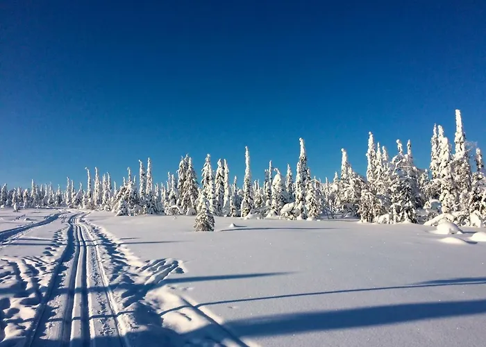 Club Kuusamon Tropiikki Hotel