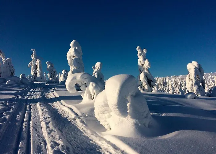 Hotell Club Kuusamon Tropiikki Kuusamo